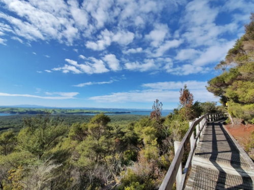 Rangitoto Summit Track